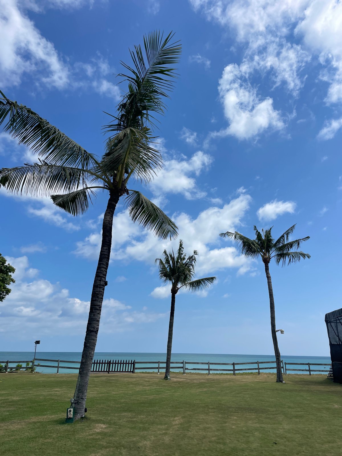 Tropical resort grounds documented in 18 memories over 8 minutes