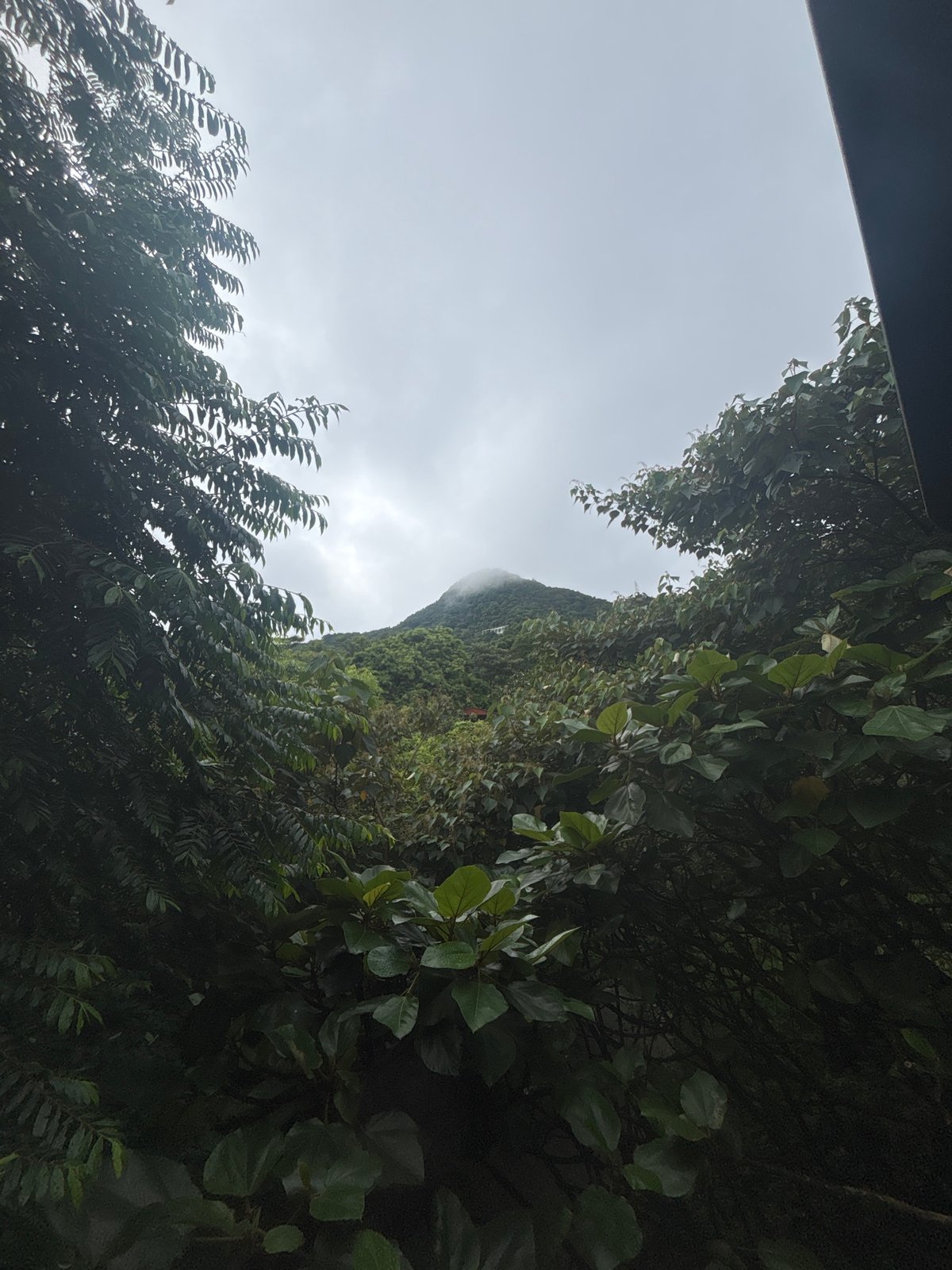 Misty mountains and modern eco-lodges in Guangzhou