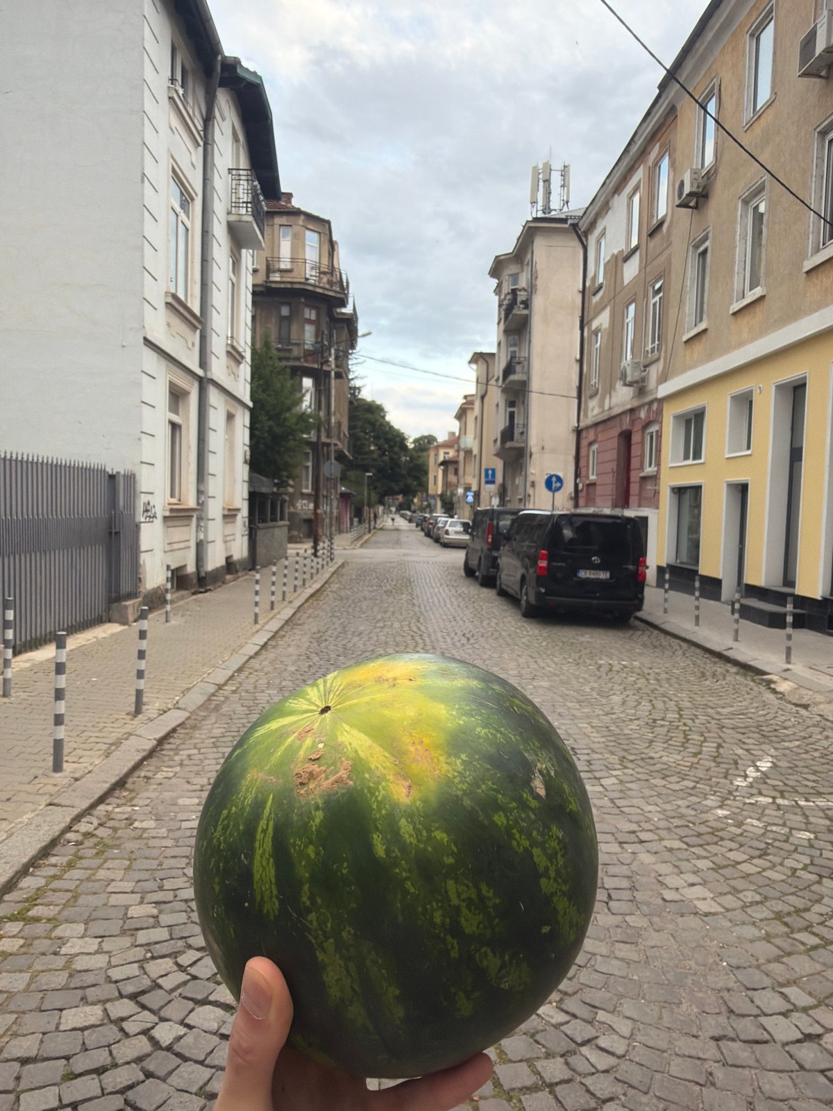 Person holds watermelon in Sofia, Bulgaria