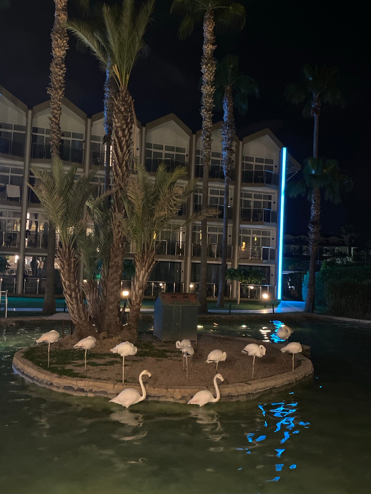 Flamingo statues displayed on pond island in Kemer resort