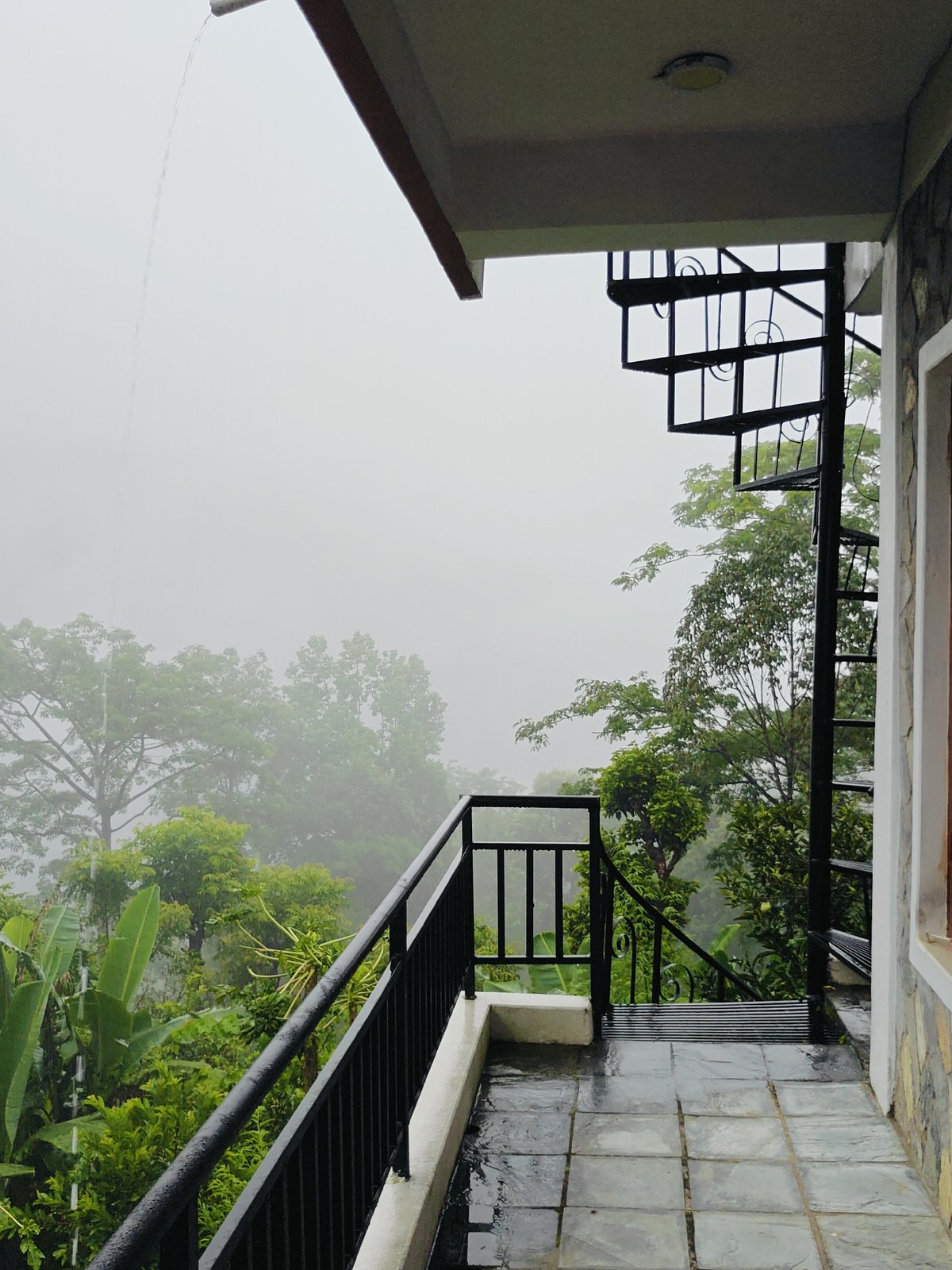 Rainstorm and fog settle over a green garden in Pokhara