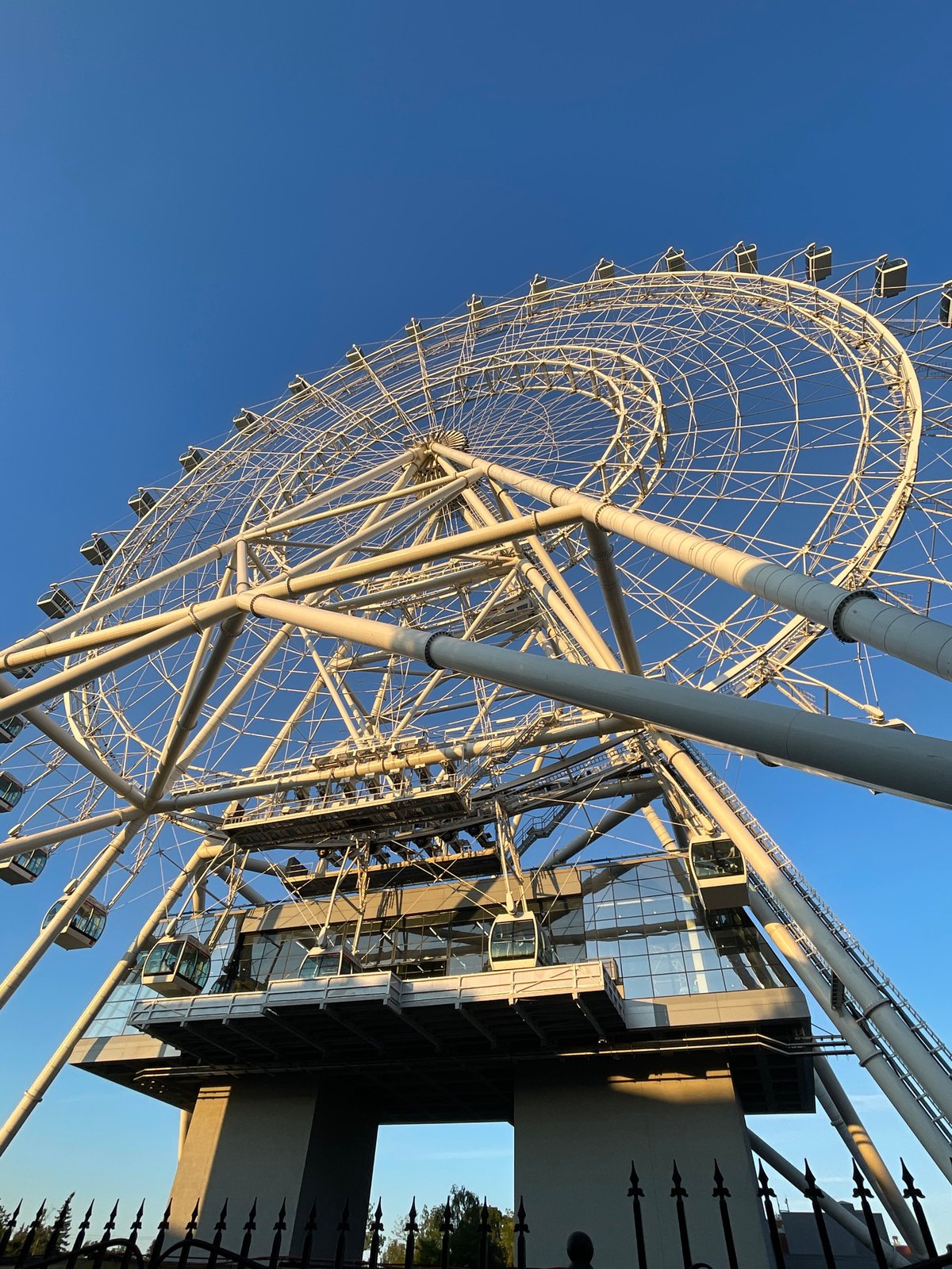 Large white Ferris wheel rising above park trees on a clear day