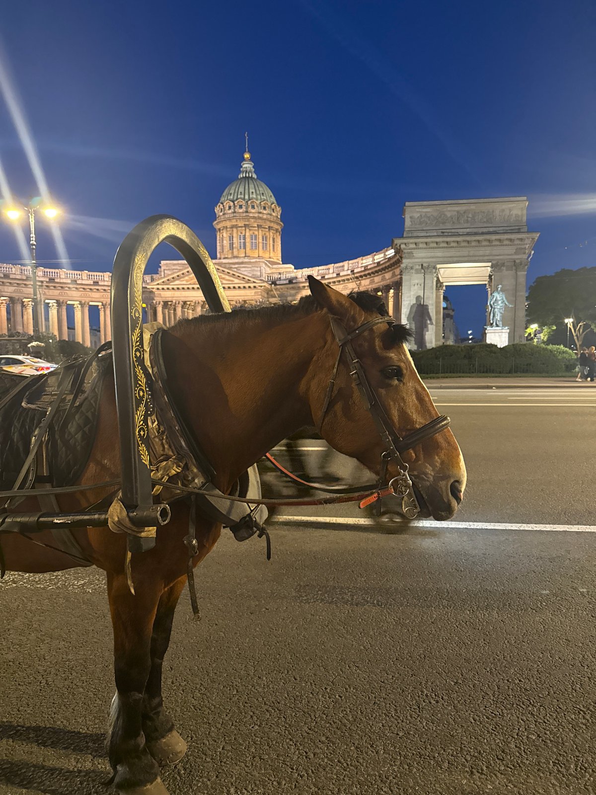 Evening carriages and street life captured around Saint Petersburg landmarks