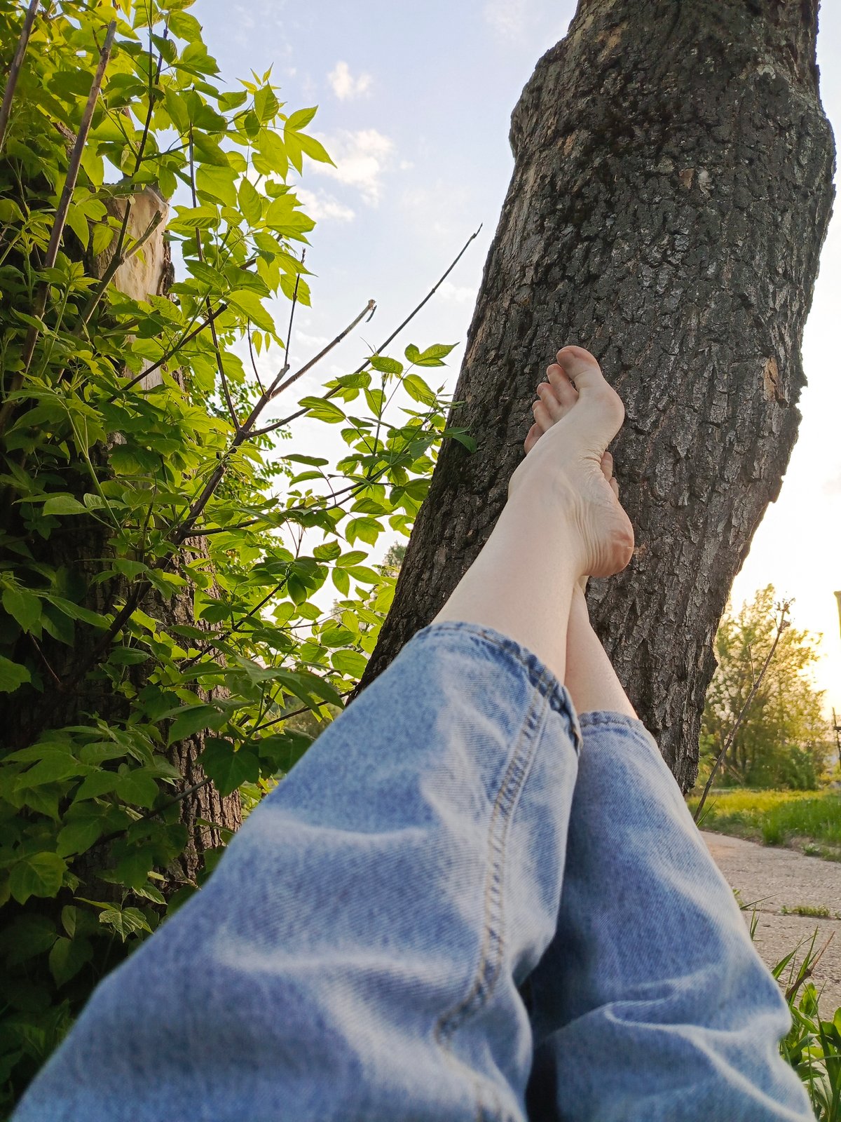 Person rests barefoot in dandelion field in Chaikovsky