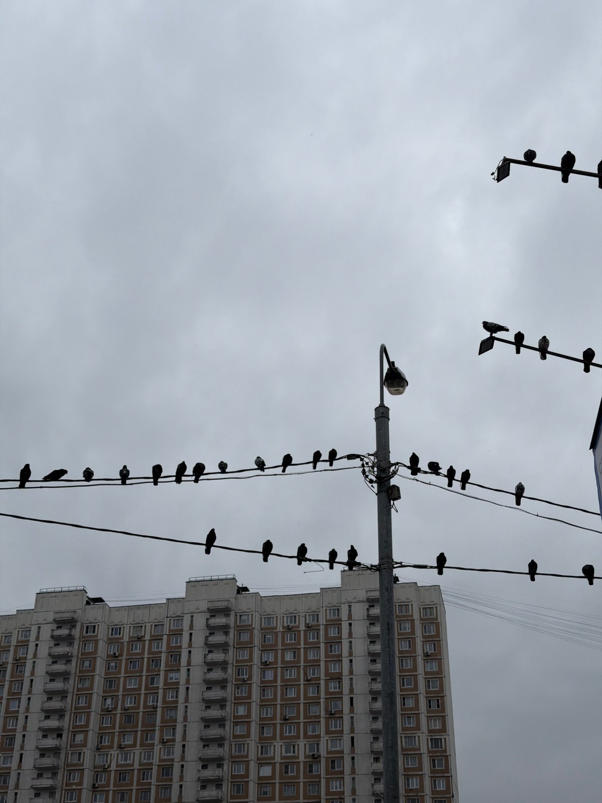 Wet morning street scenes captured in residential Moscow