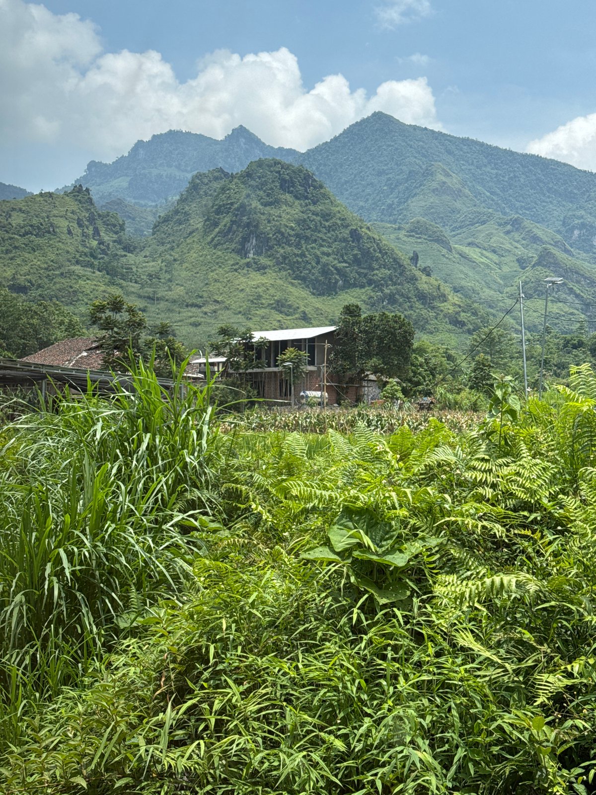 Woman documents mountain resort visit in Du Già Commune, Vietnam