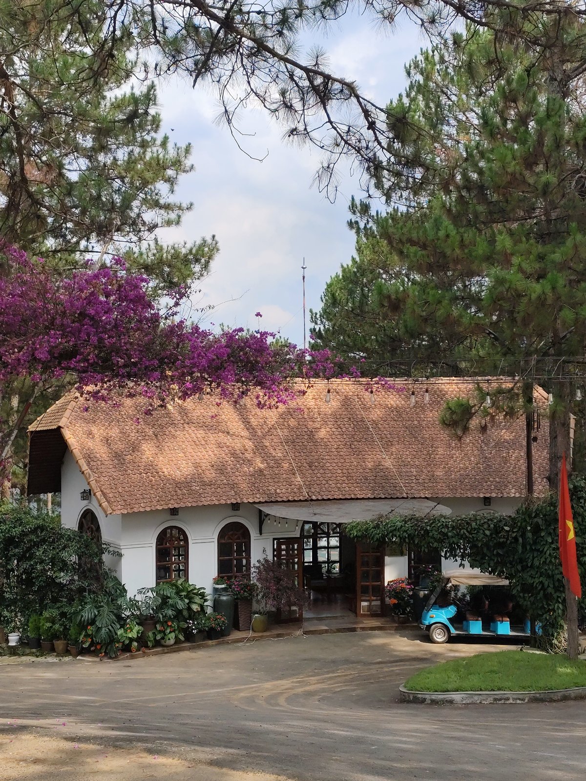 White building observed among pine trees in Da Lat