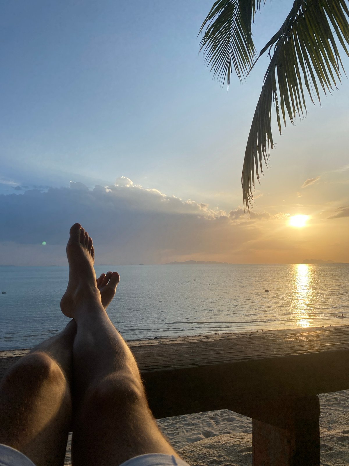 Horses, dogs, and sunset drinks on a Ko Samui beach