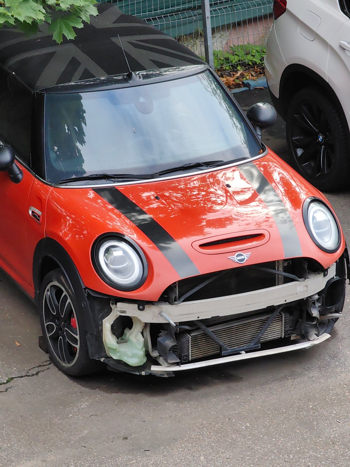 Mini Cooper, cranes, and houseplants in Moscow