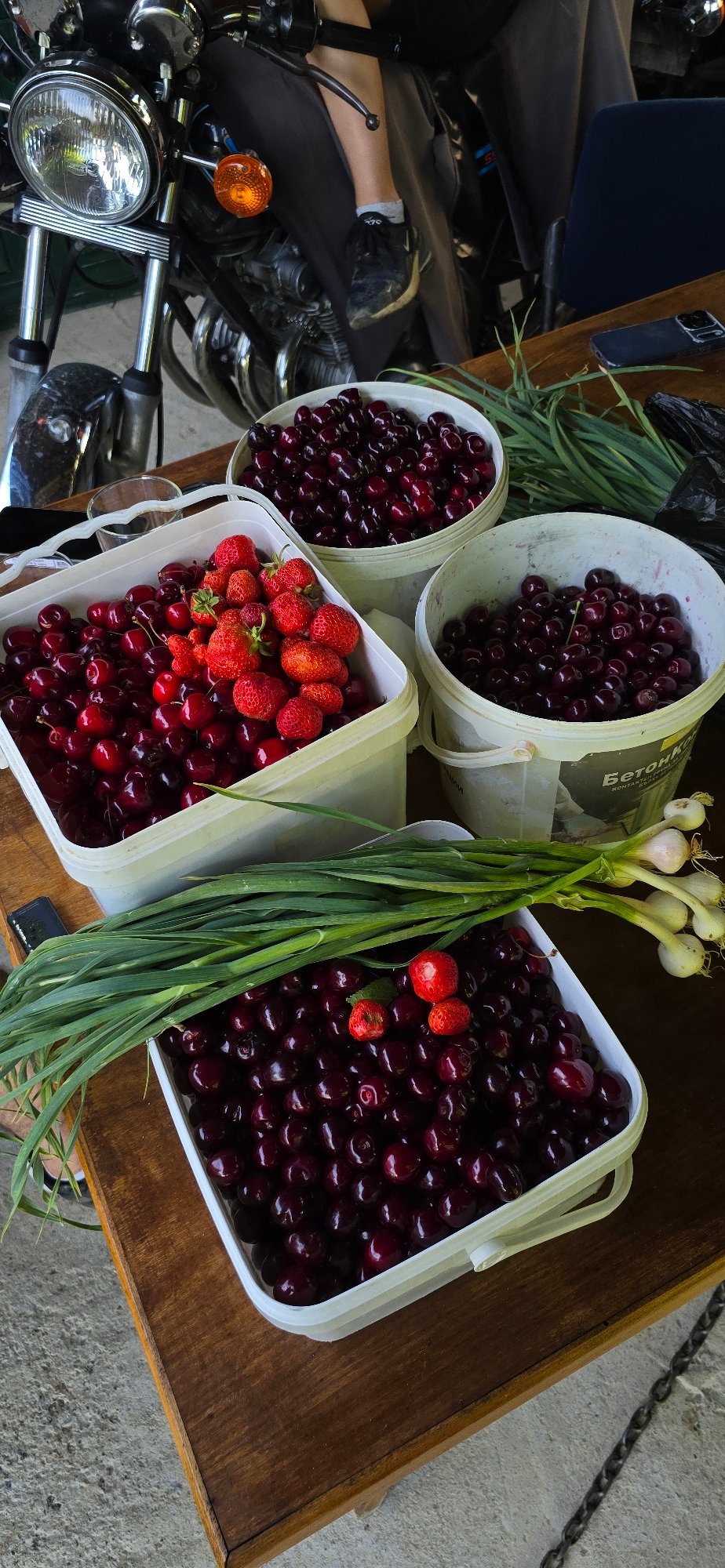 Fresh fruit harvest and rural life in Vratsa