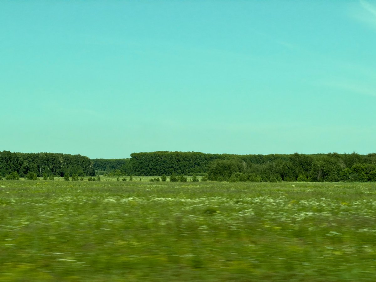 Open fields and power lines outside Cherepanovo on a summer morning