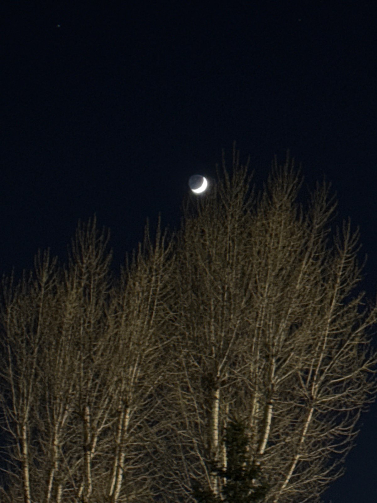 Crescent moon illuminates Saint Petersburg night sky, witnesses document