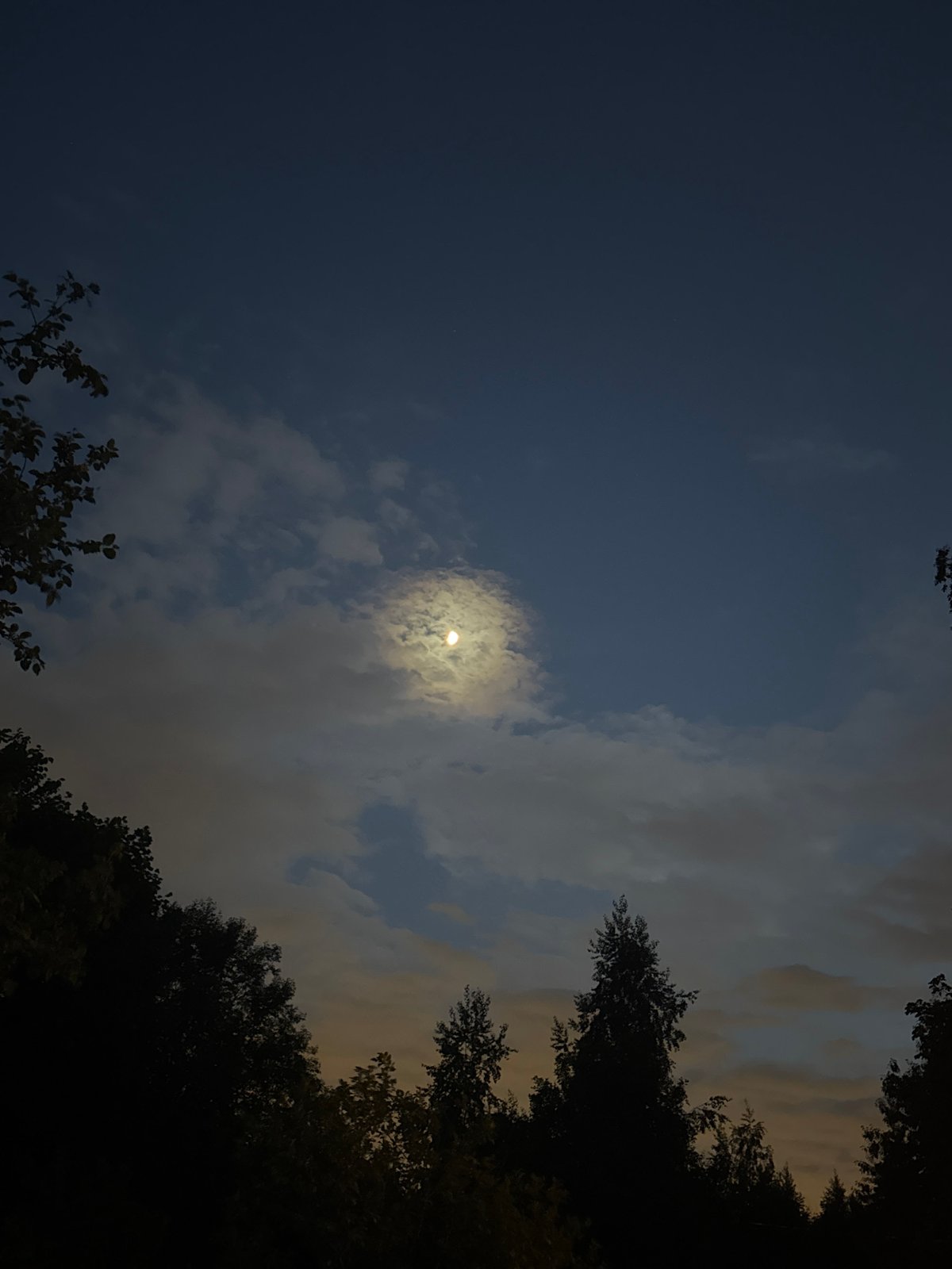 Evening sky conditions documented across Balashikha, Russia