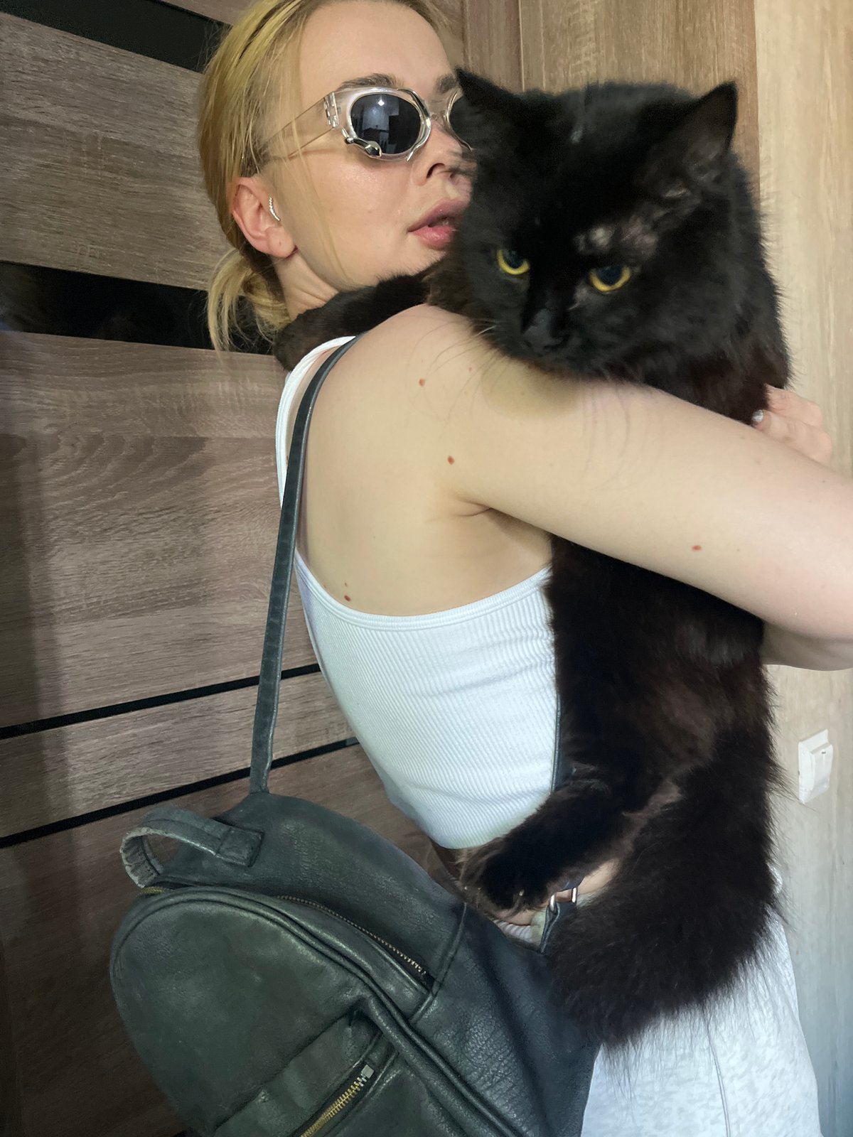 Cat interactions and affection in Tikhoretsk apartments