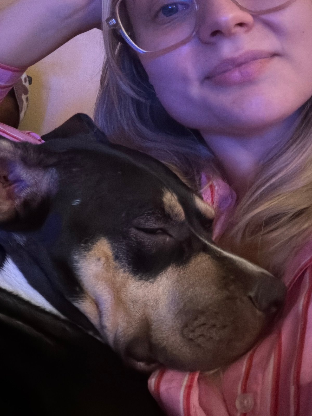 Sleeping dog and gold-leaf pastries on a Tel Aviv evening