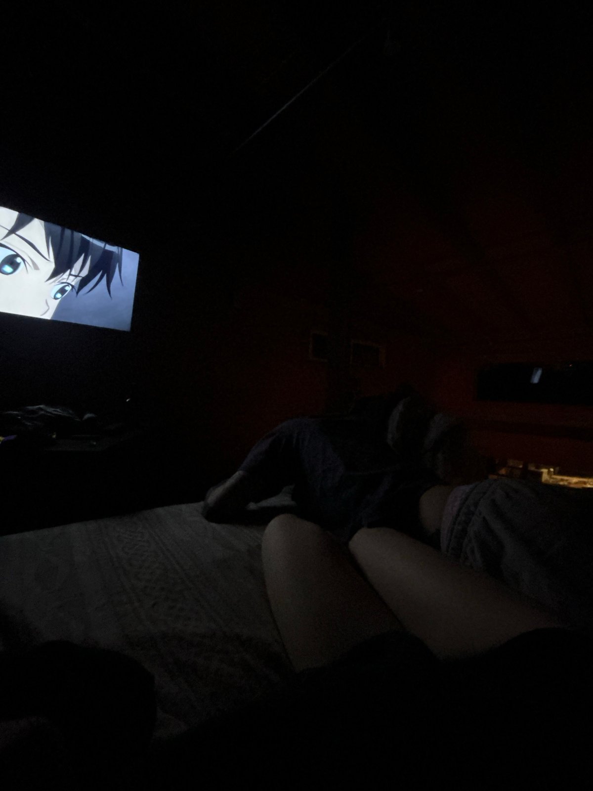 Late-night cartoon viewing observed in Dique Luján residence