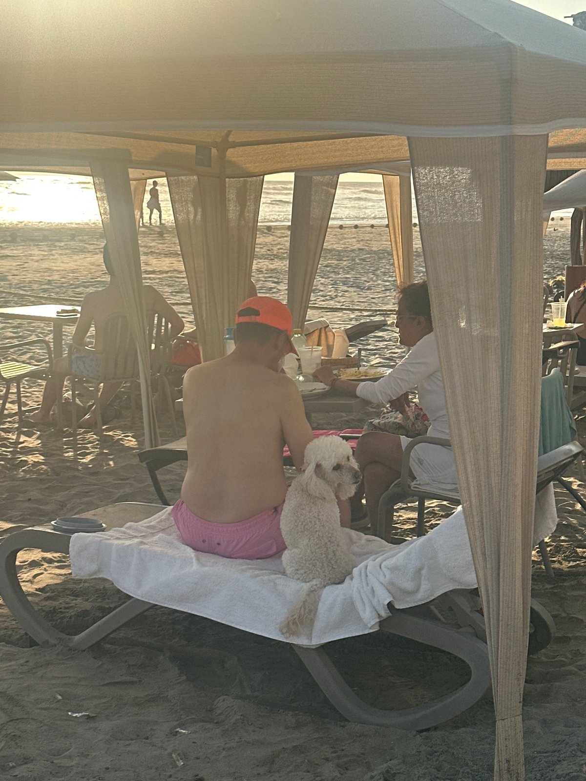 Beach scene captured in Acapulco featuring man with poodle