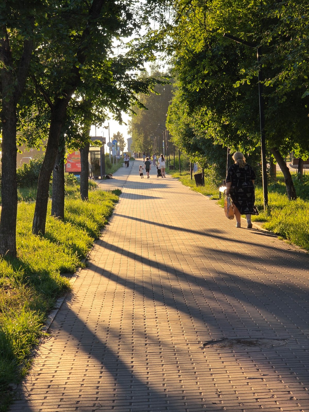 Sunset stroll through a tree-lined park pathway