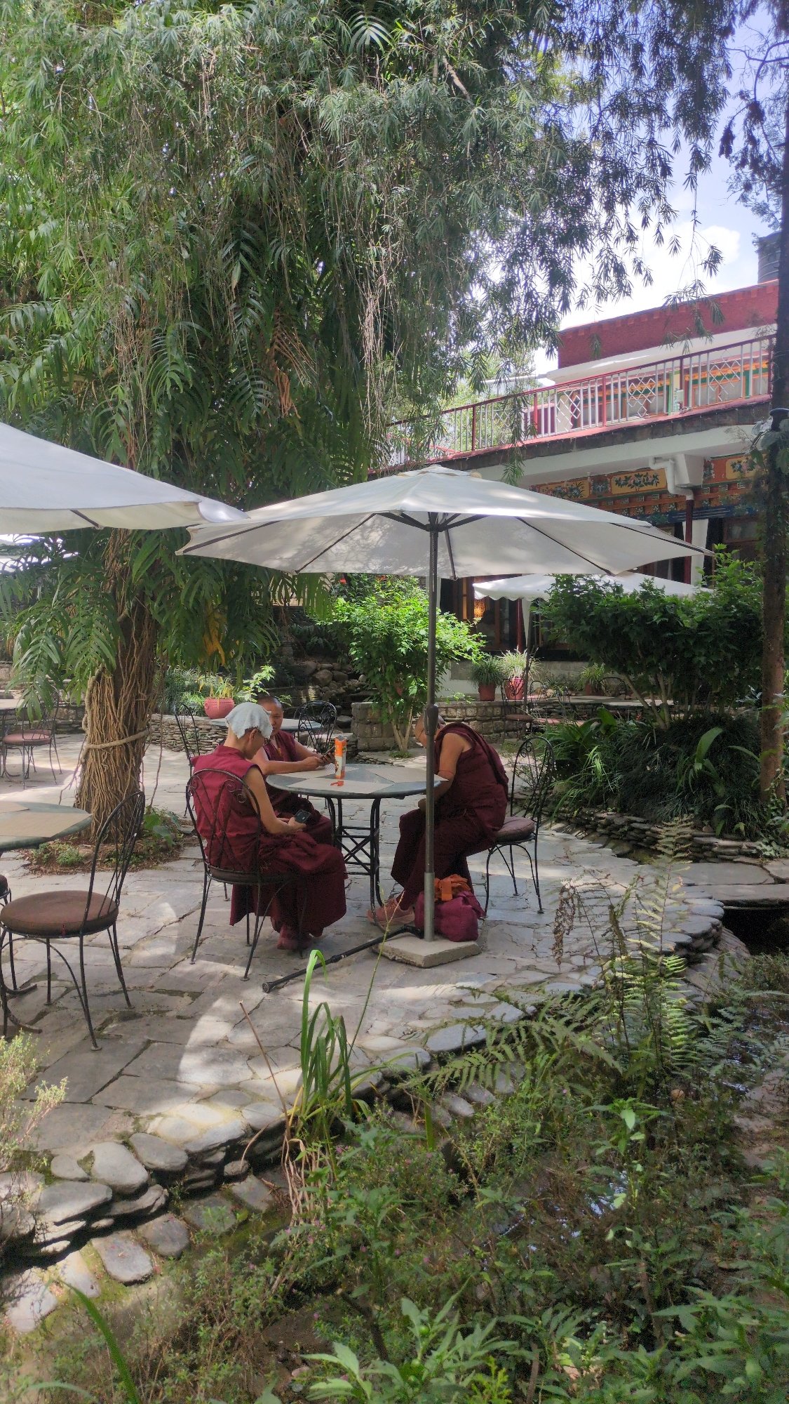 Morning life at Tibetan Buddhist monastery documented in Fatehpur