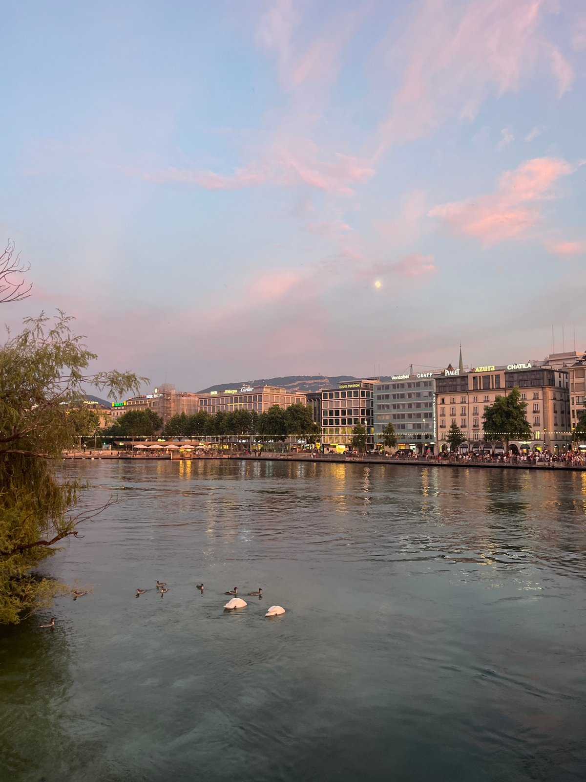 Mass bike ride rolls through Geneva at golden hour