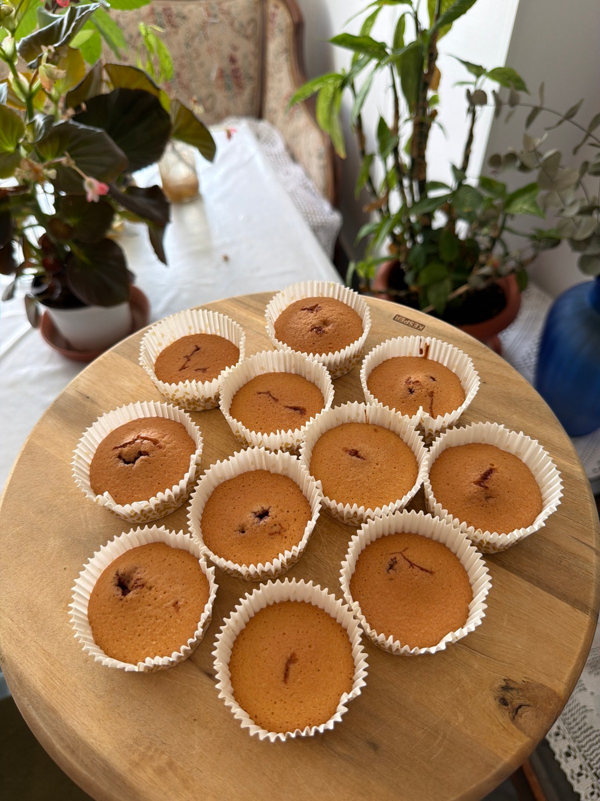 Homemade cupcakes baked and plated in Podgorica