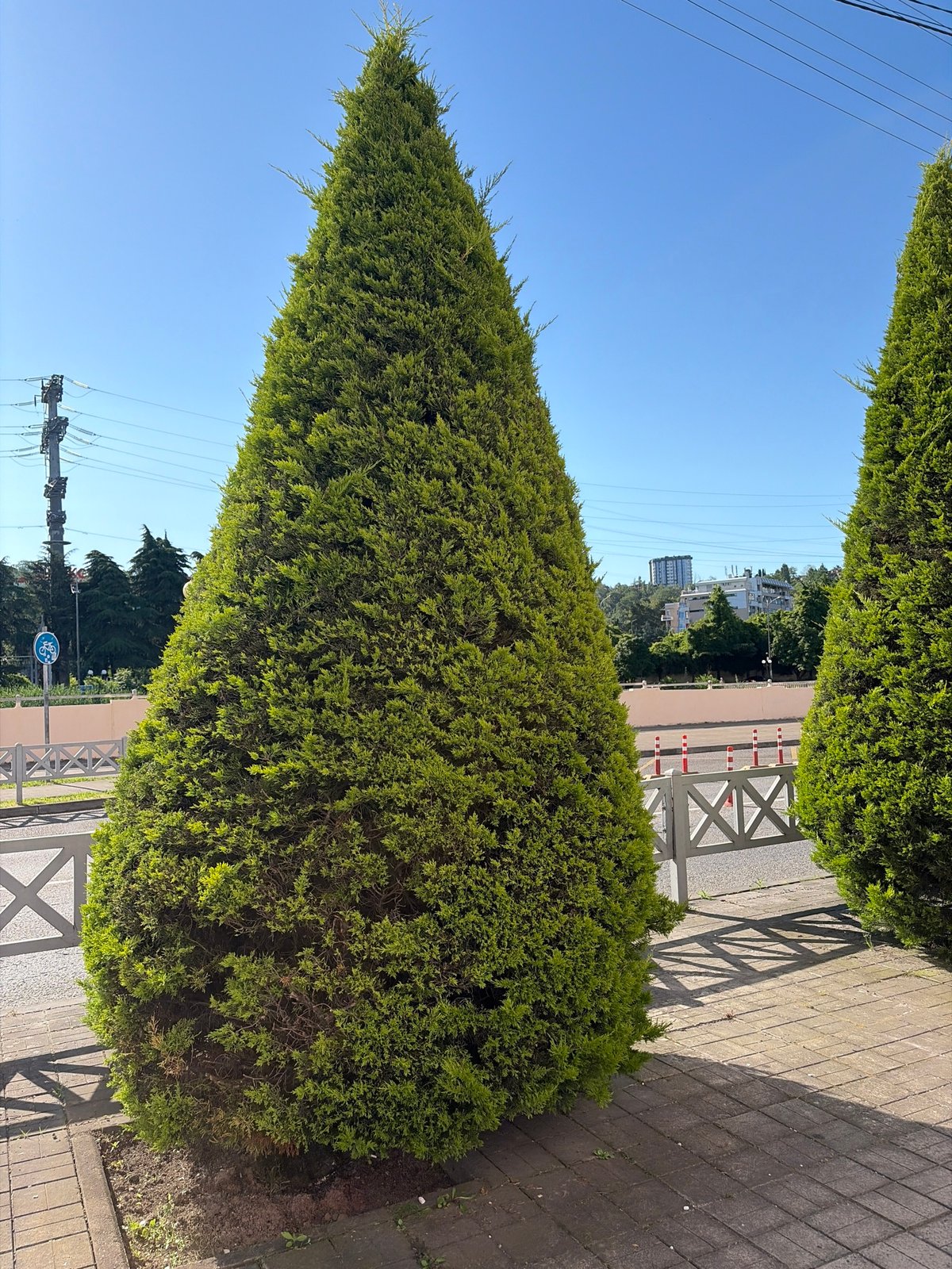 Early morning documentation captures Sochi's urban landscape and infrastructure
