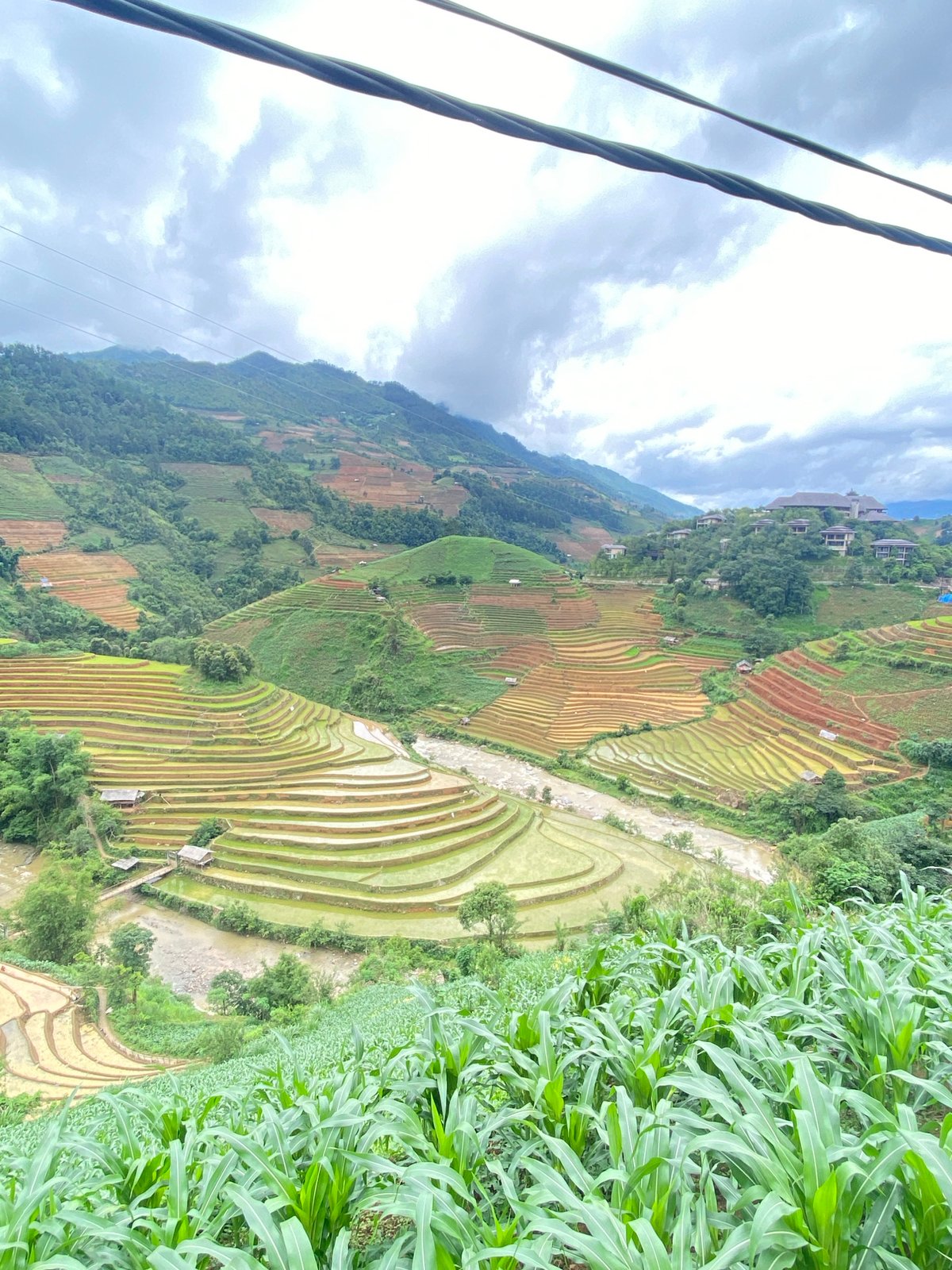 Witness documents Mù Cang Chải terraced landscape, dog sighting