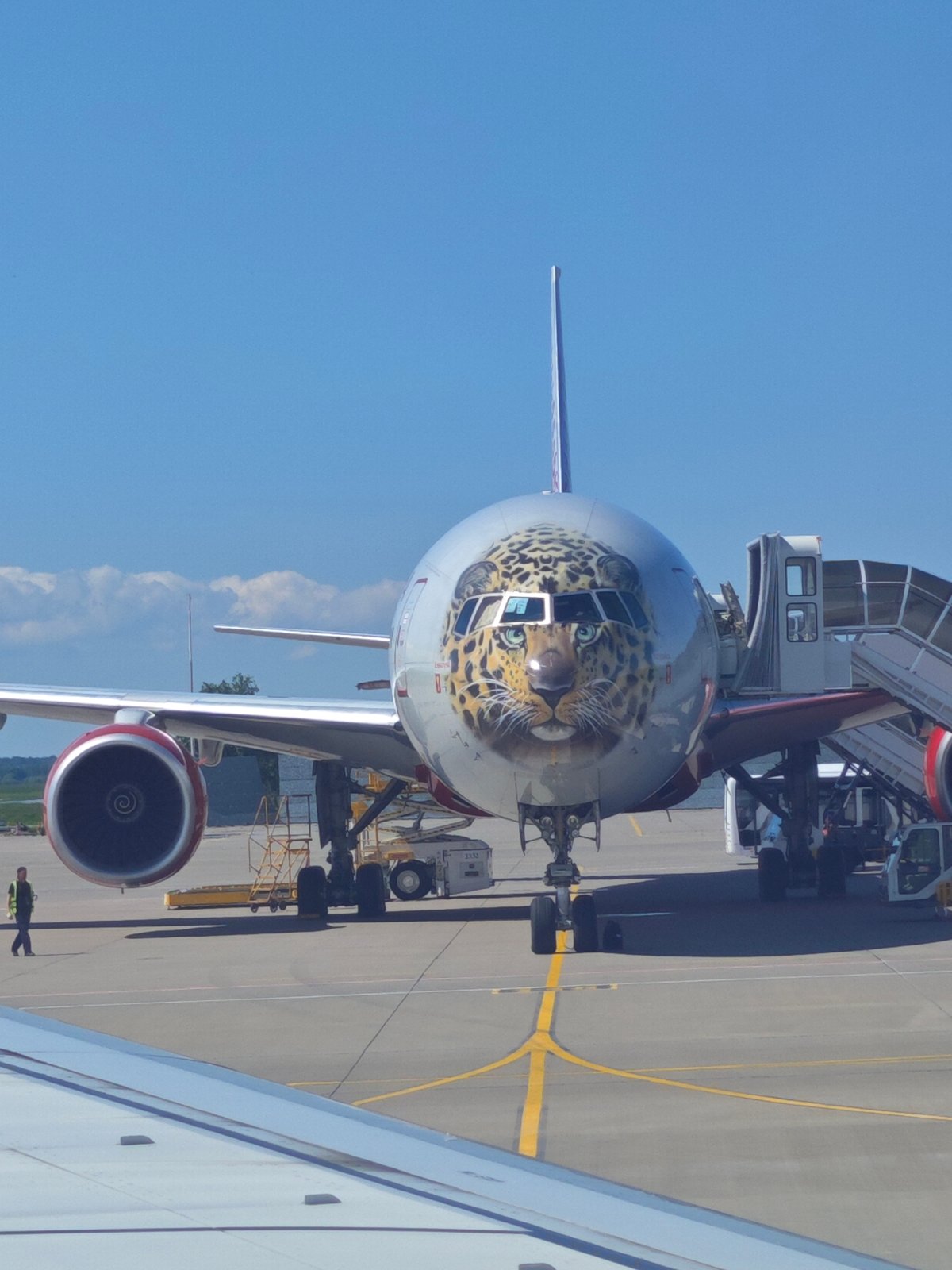 Leopard-painted aircraft spotted at Saint Petersburg's Pulkovo Airport
