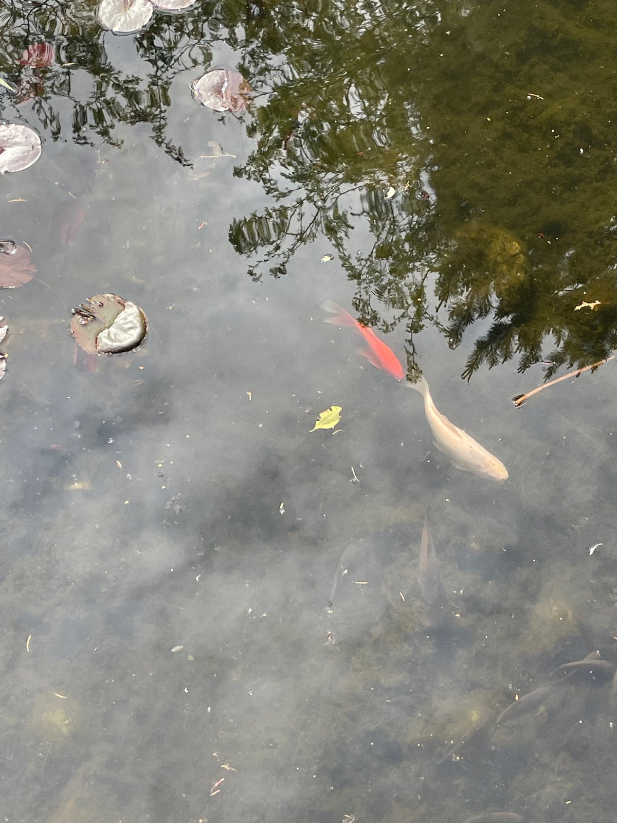 Urban daily life documented through 30 casual observations