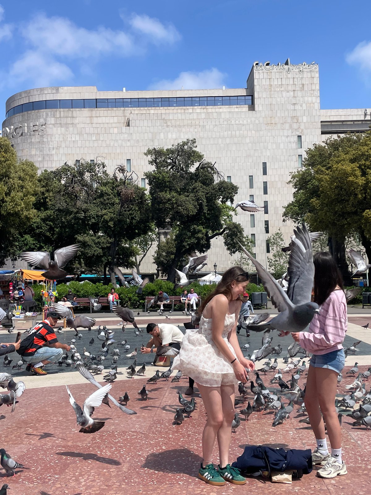 Pigeons gather on Barcelona plaza near IBEROSTAR building