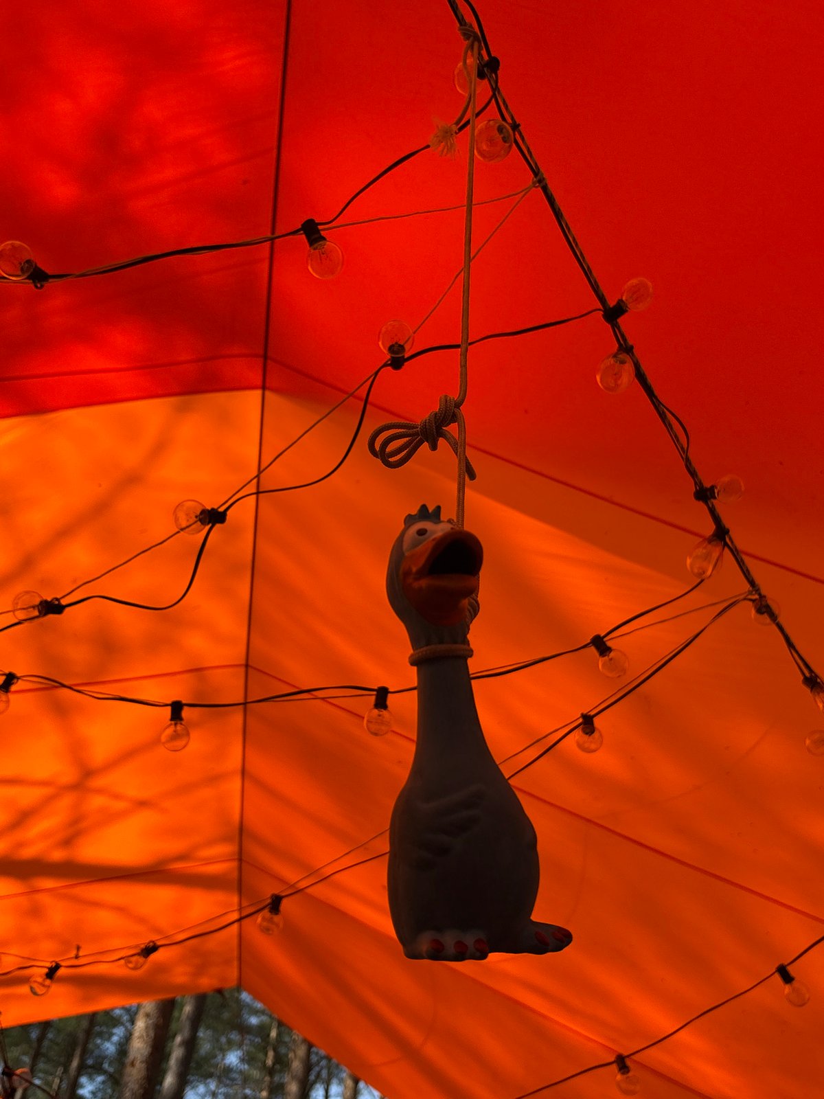 Rubber chicken spotted hanging from light string in Russia
