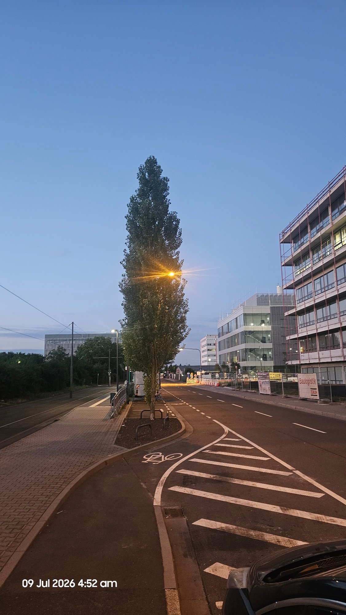 Frankfurt street corner at dusk, tree lit by lamplight