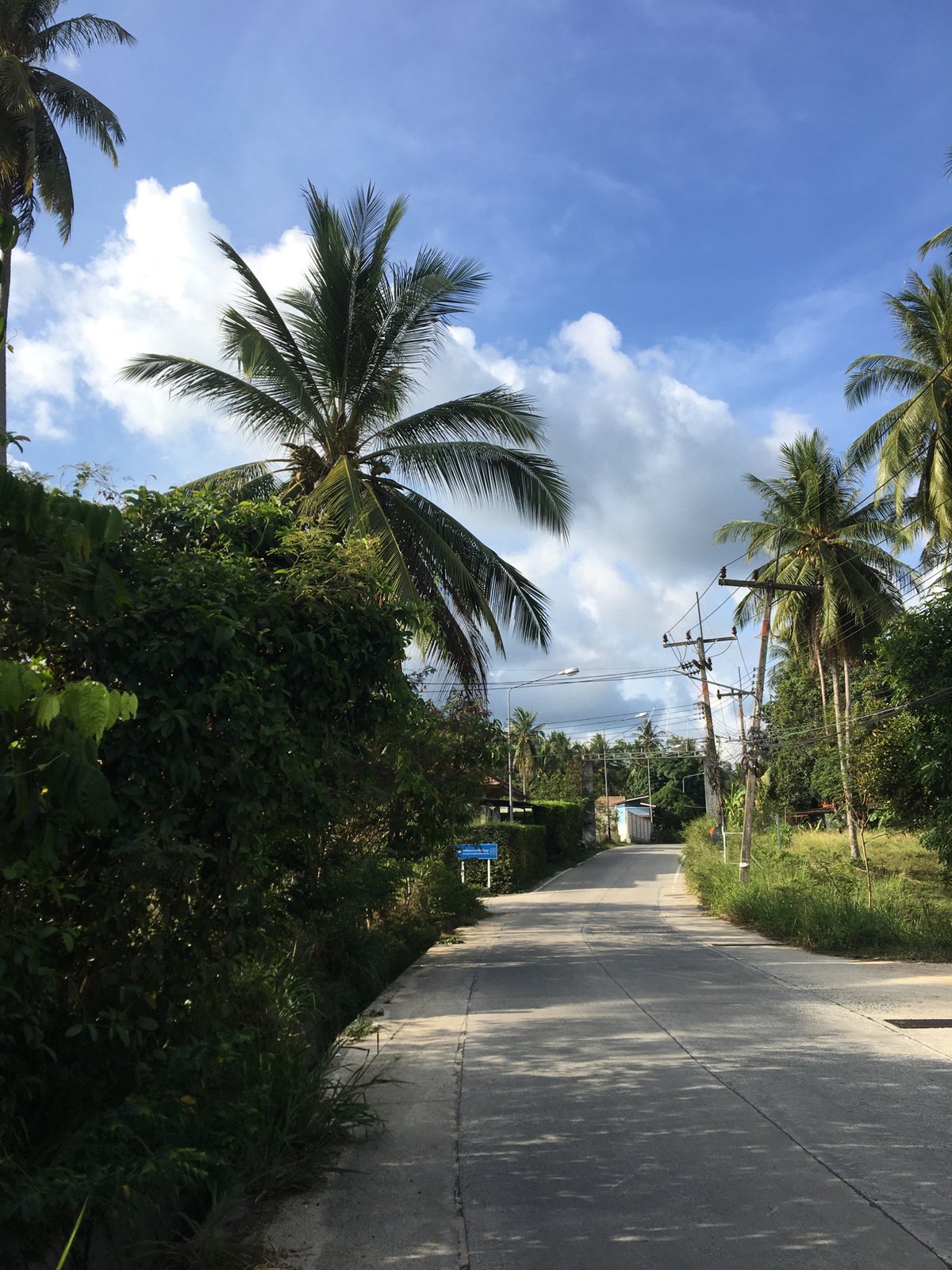 Tropical road scene documented in Baan Tai, Thailand