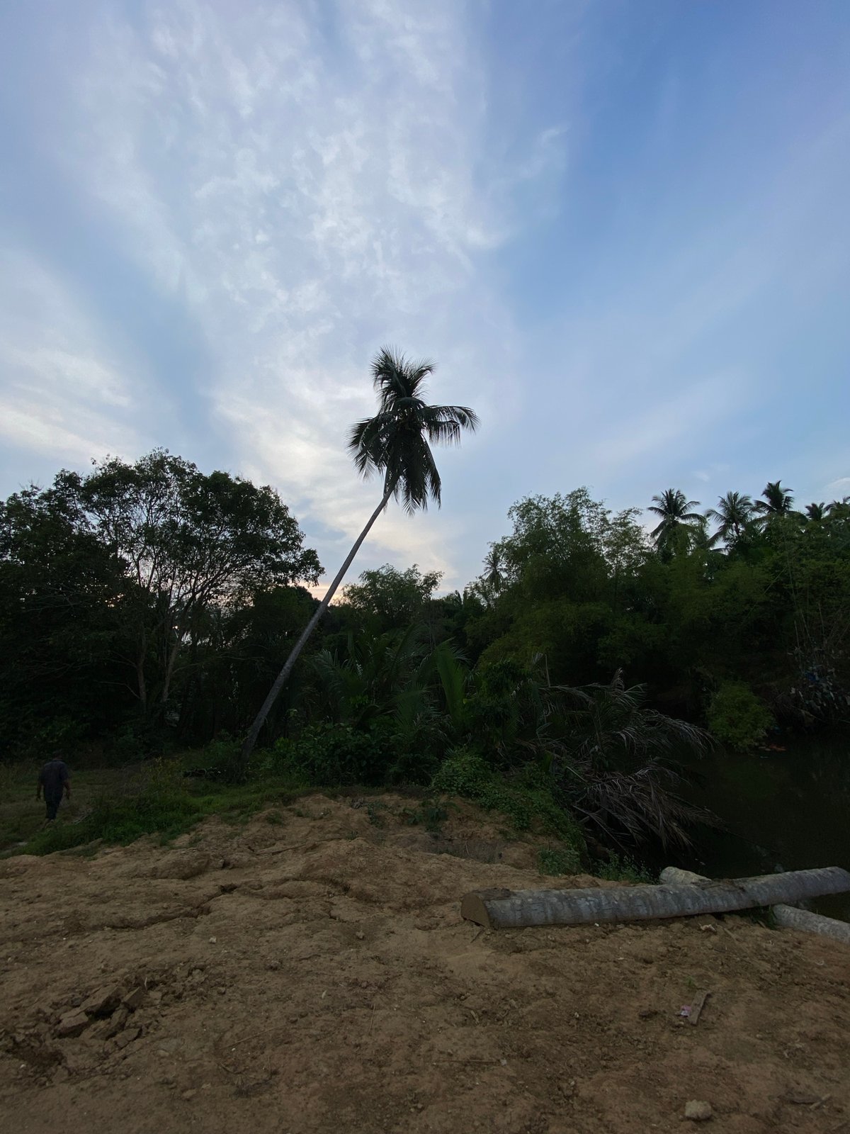 Rural Indonesian landscapes documented in Tanjongkapai morning scenes