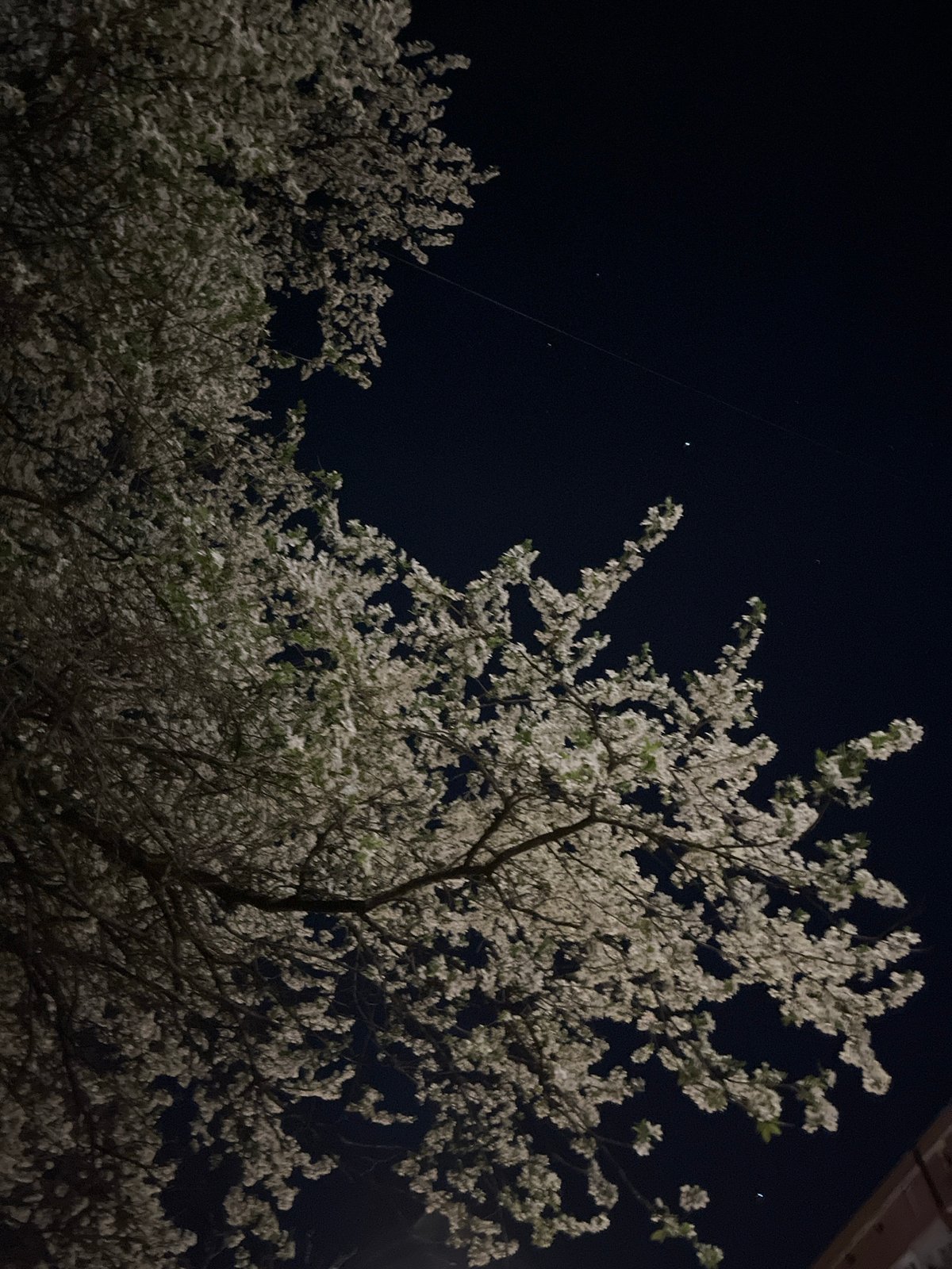 Spring evening scenes documented in Sofia, Bulgaria
