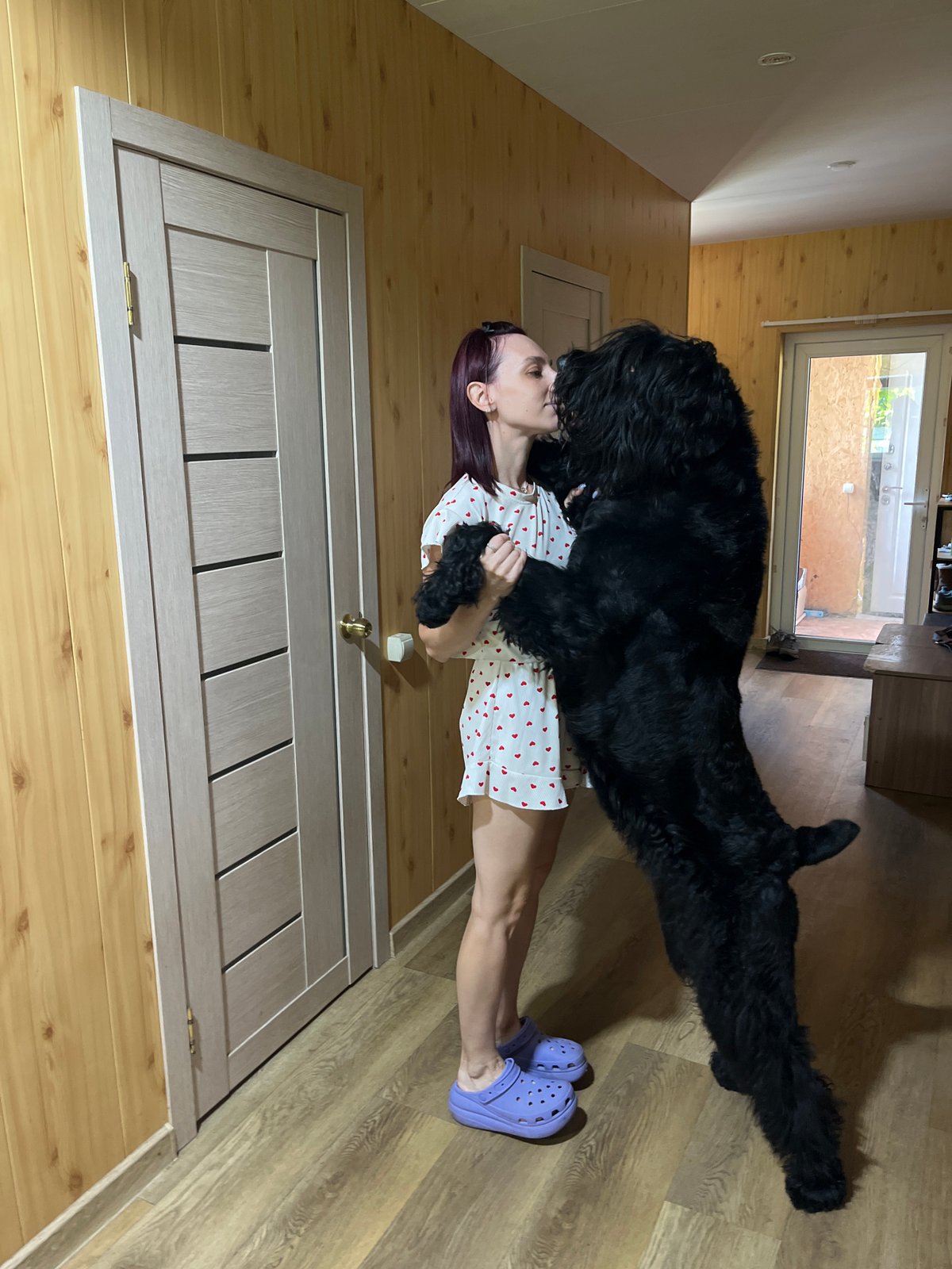 Morning forest walk in Нагорный with a big black dog