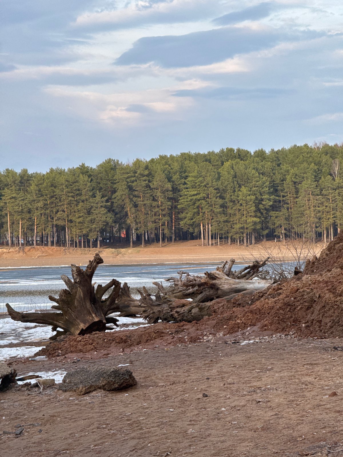 Woman documents afternoon walk through forests and waterfront areas