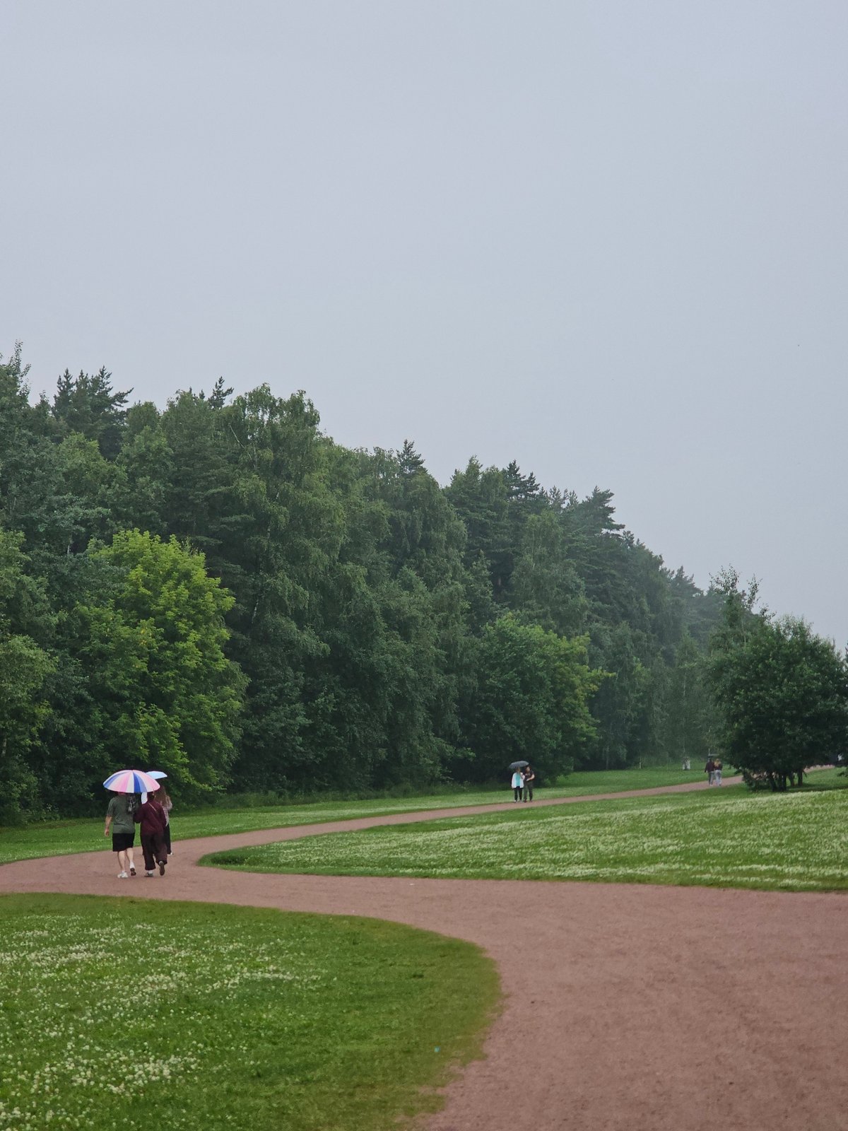Rainy afternoon walk through Moscow-area parks