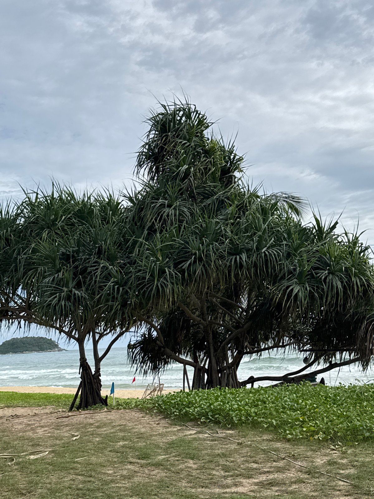 Overcast morning at Karon Beach, quiet and unhurried