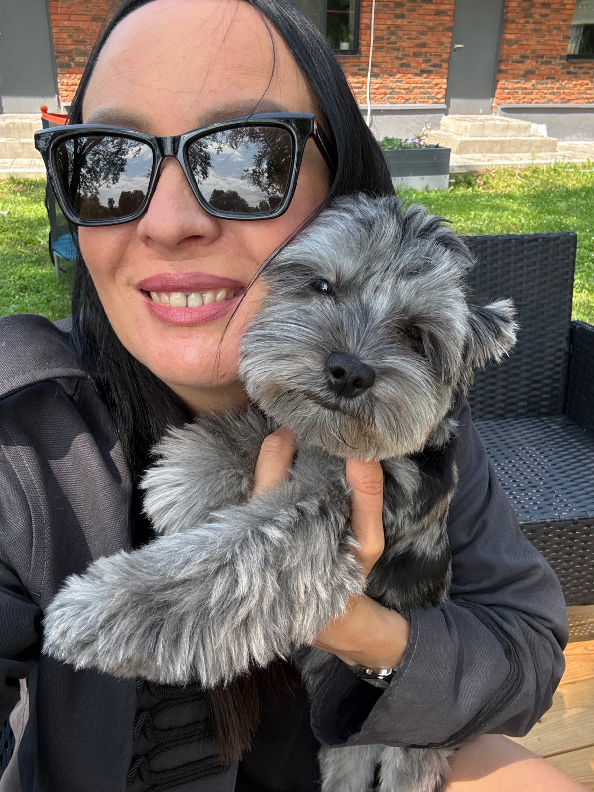 Chill morning out with a gray schnauzer and some easy errands