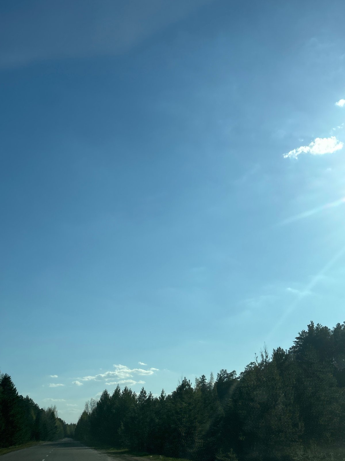 Driver documents sunny afternoon journey through Chaikovsky forest road
