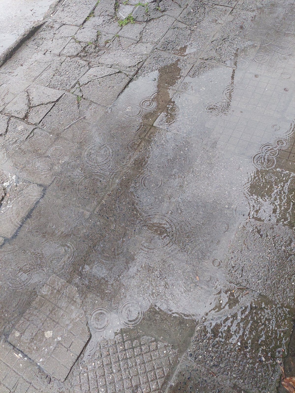 Morning rainfall creates puddles across Plovdiv streets