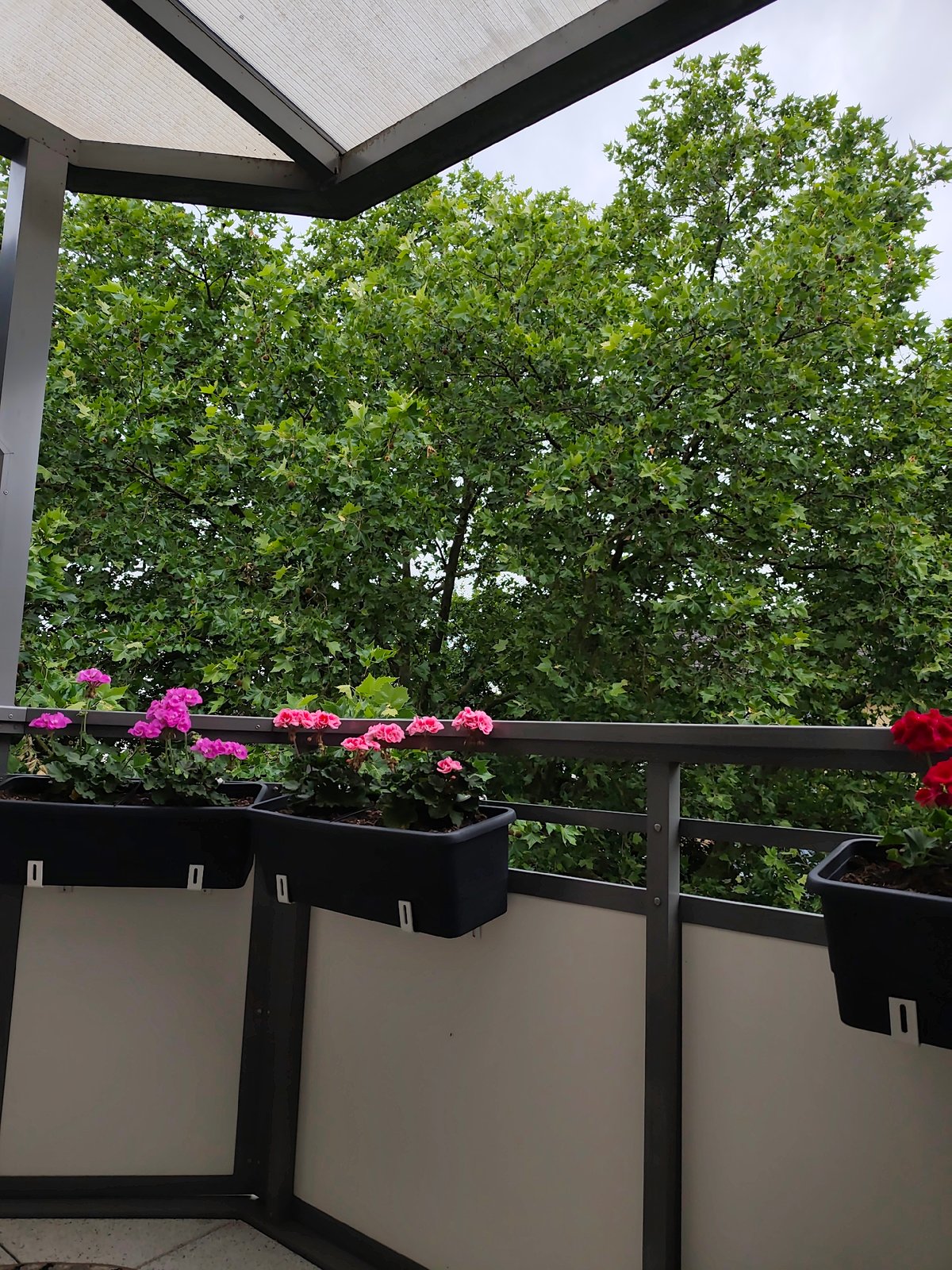 Frankfurt morning moments: balcony view and cosmetic organizer captured