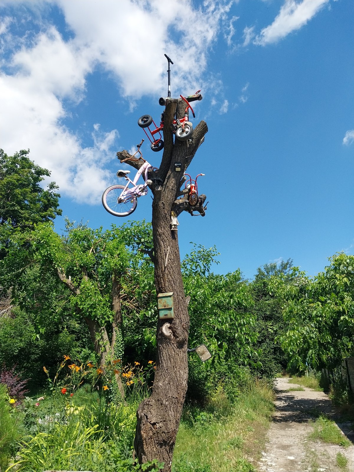 Bicycles and a scooter mounted on a tree in Dnipro