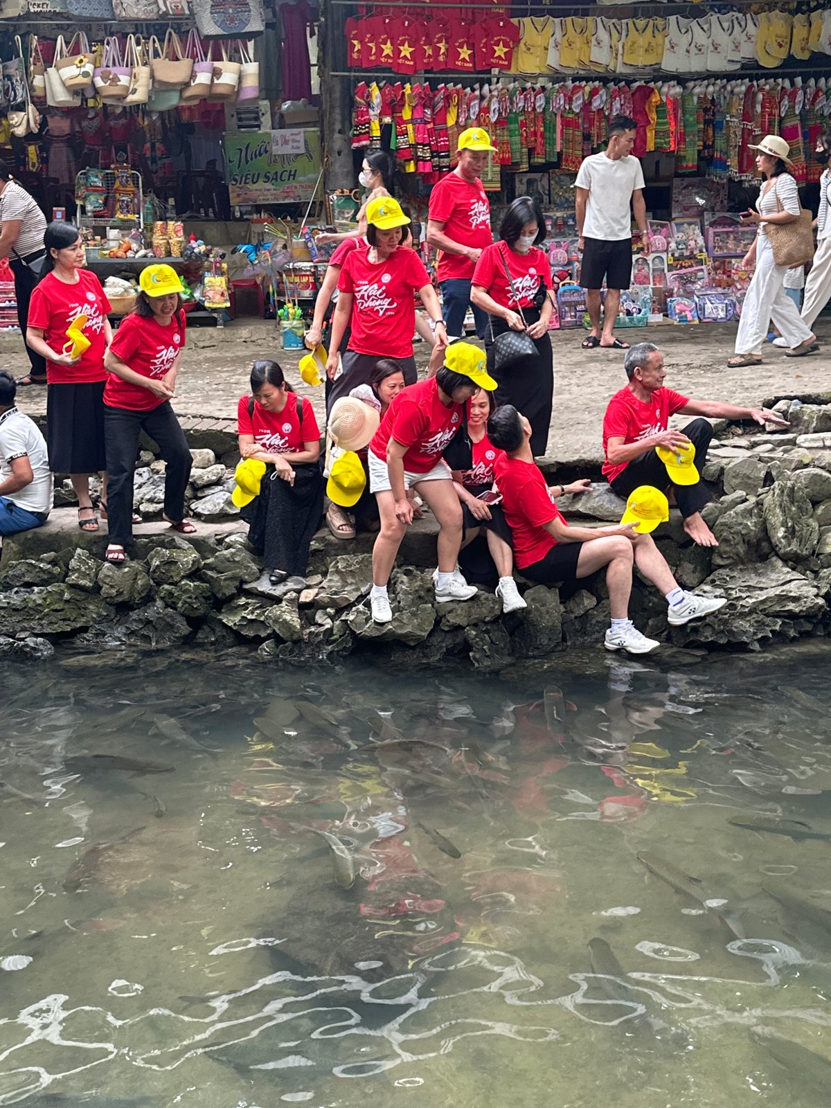 Tourist groups visit fish sites, markets in Vietnamese communes