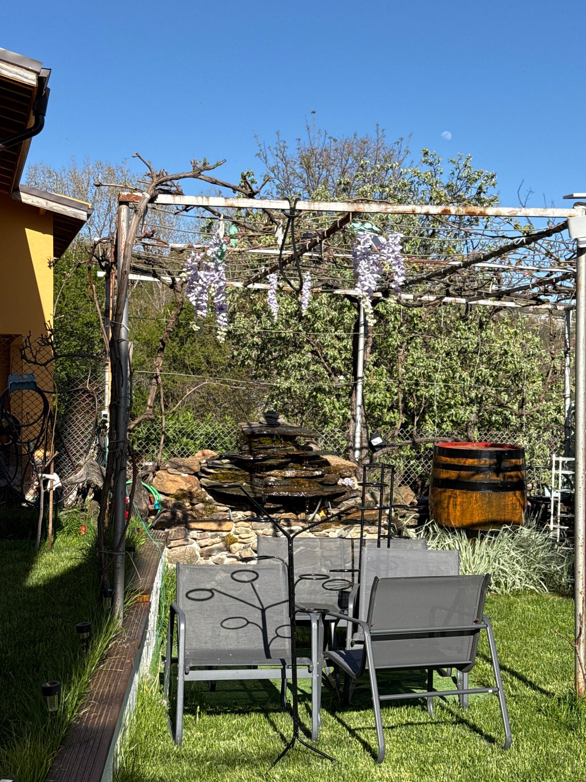 Spring garden moments documented in Buhovo, Bulgaria