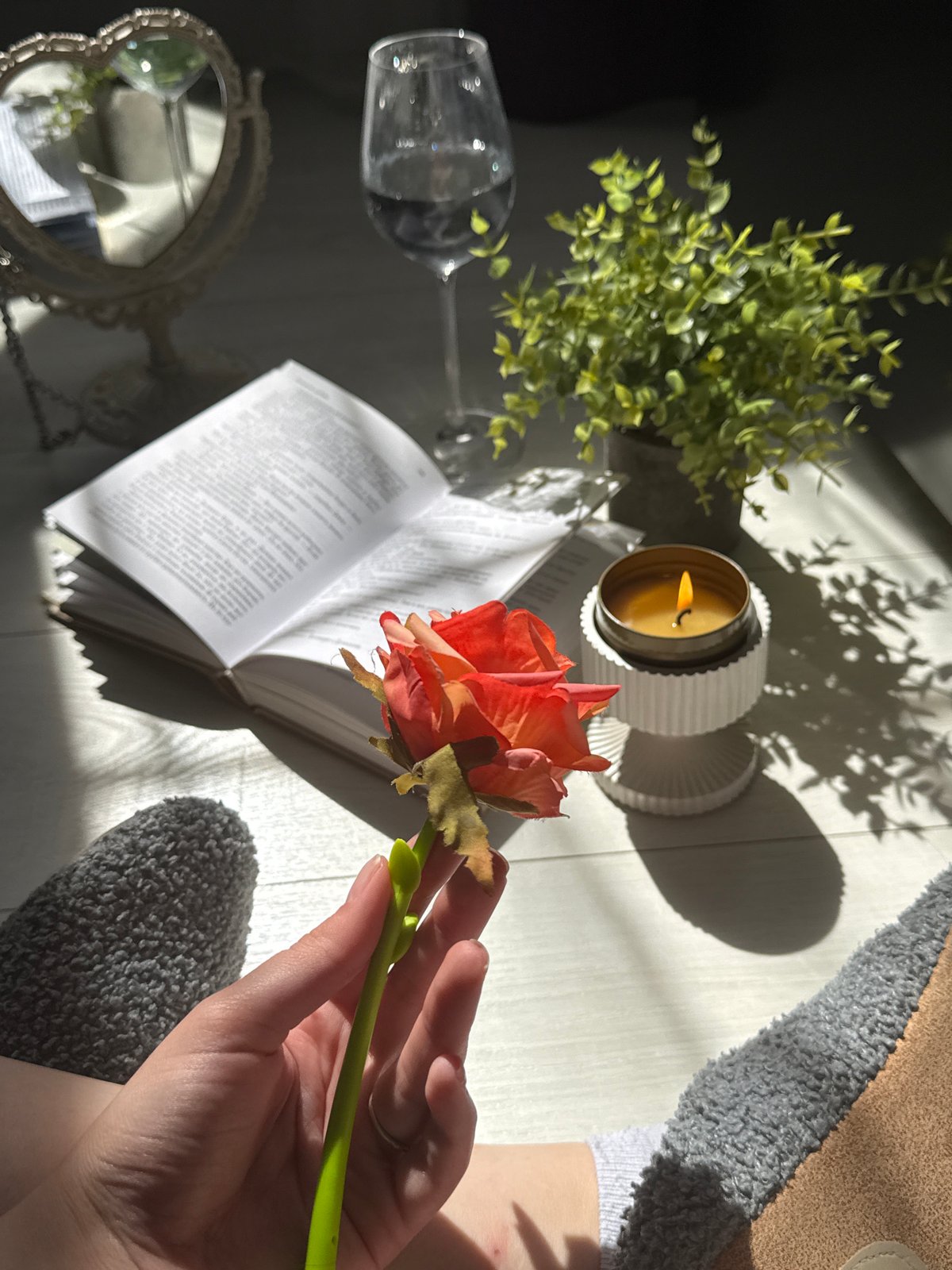 Sunlit still life arrangement captured in 26 memories