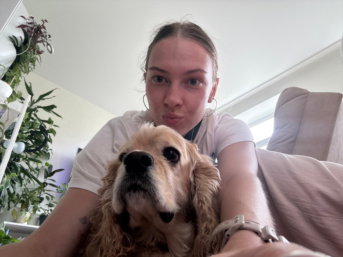Cocker spaniel and grey cat living their best apartment life