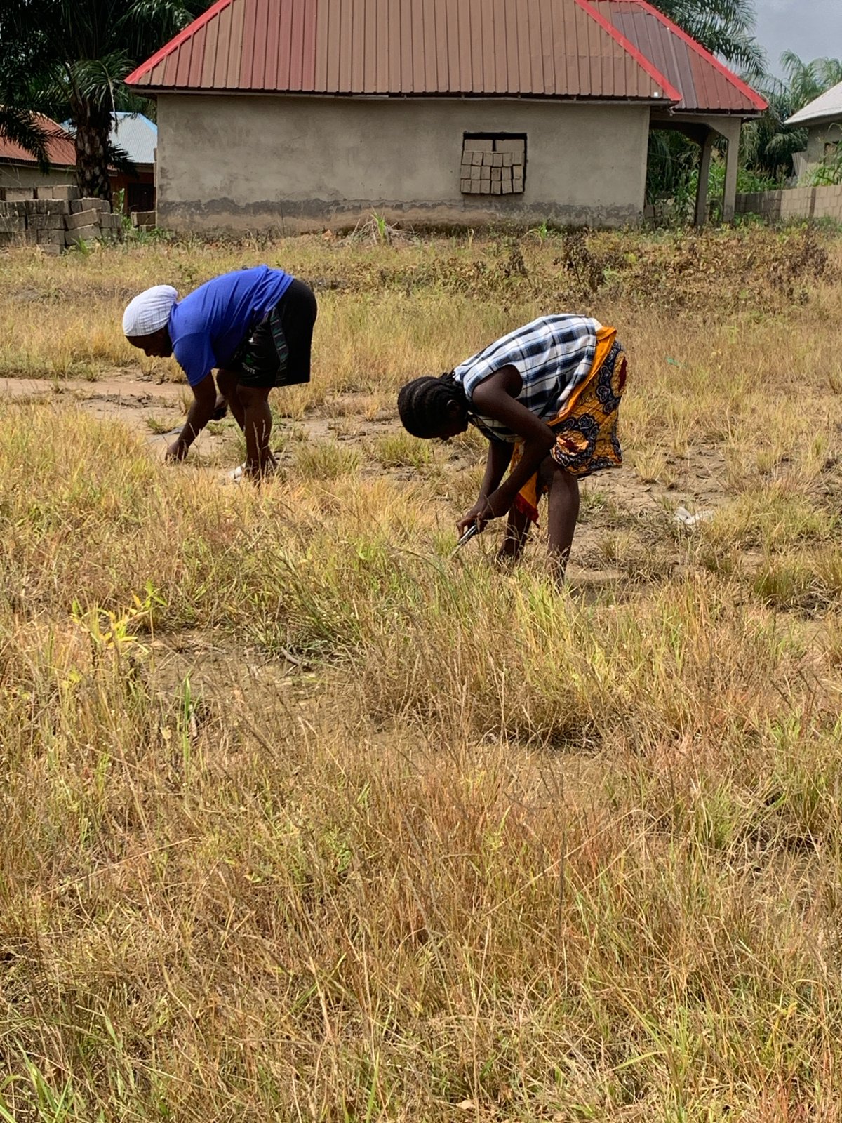 Everyday chores at a stream and field in Akwanga, Nigeria