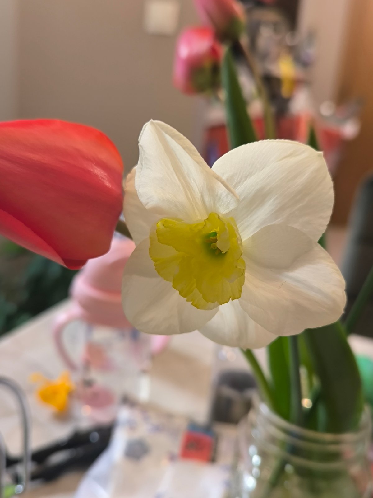 Spring flowers arranged in jar captured in Sofia